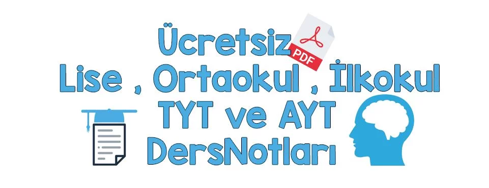 notpaylas.net Nedir? Amacı ve Paylaşım İçeriği Neler?